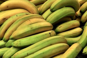 zielonych bananach skrobia stanowi