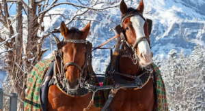 zakopane ferie